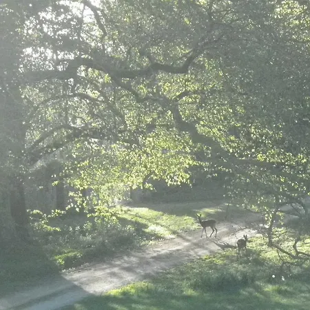 Chateau De La Marronniere Aizenay