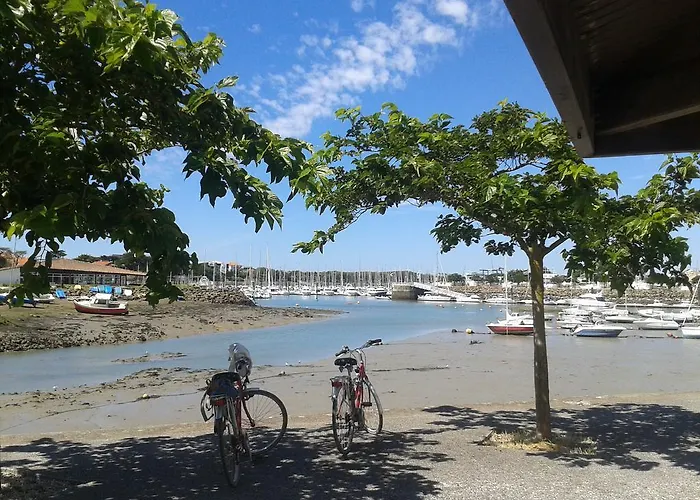 Chateau De La Marronniere