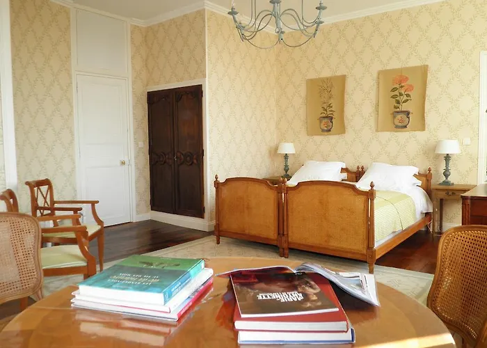 فندق مبيت وإفطار Chateau De La Marronniere 3*