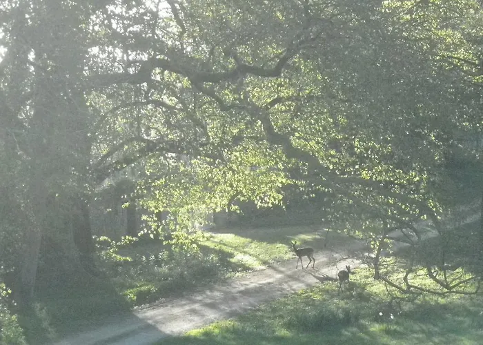 Chateau De La Marronniere Aizenay